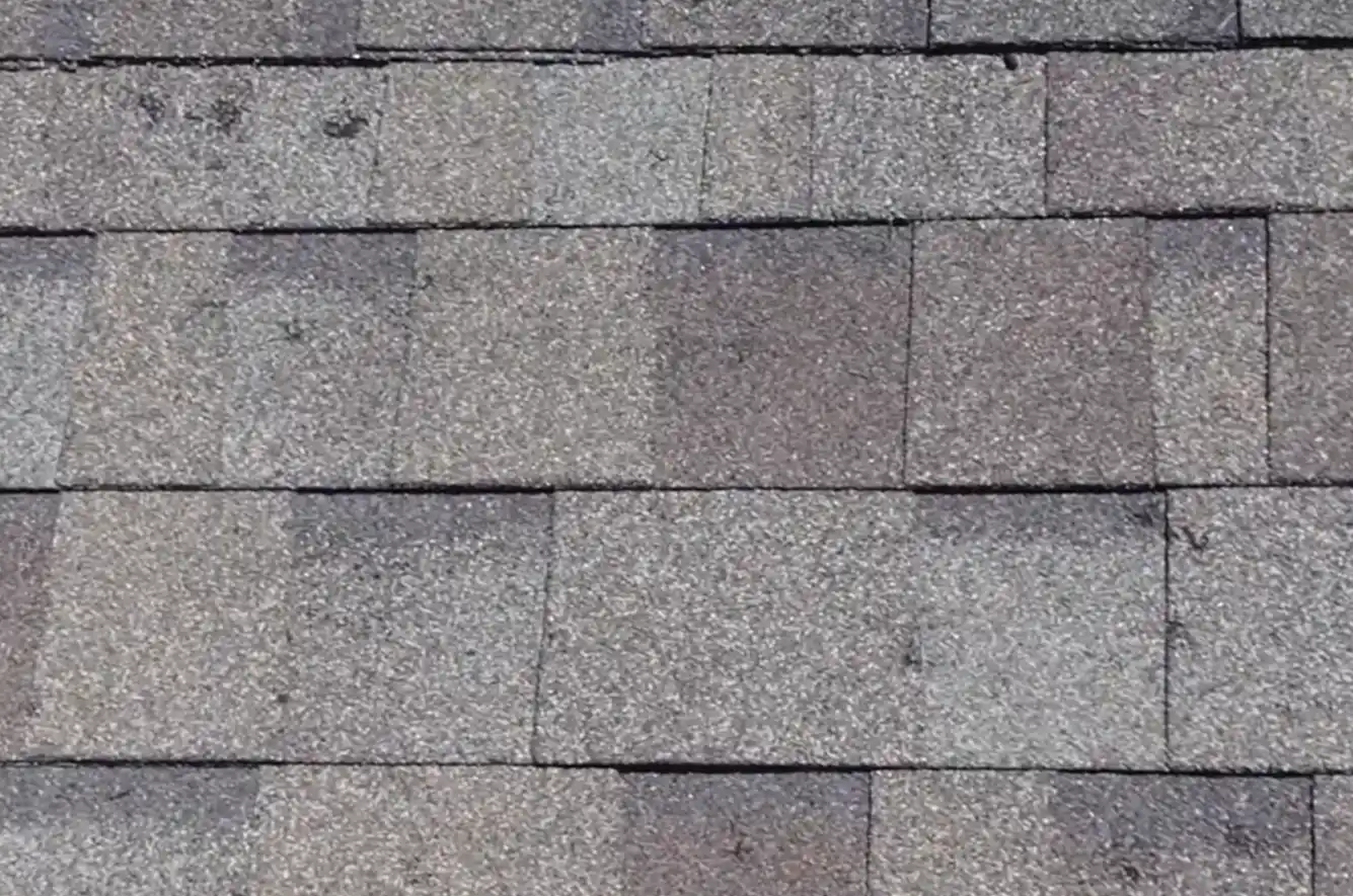 Hail Damage